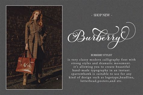 burberry website font|burberry font free download.